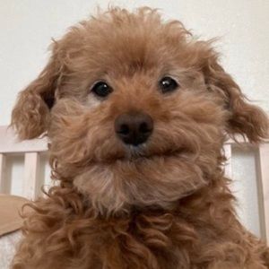 Meet your Posher, Nikki